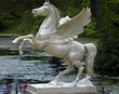 pegasus