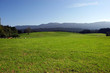 bavarian meadow