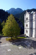 tree in castle courtyard.