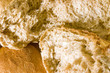 bread on pieces