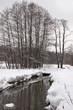 winter landscape