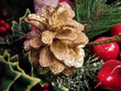christmas pinecone