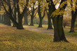 autumn