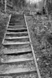 wood stairs