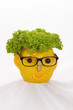 mr. salad
