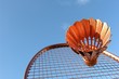 golden badminton