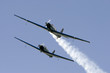 blu voltige airshow #8 blu voltige airshow #8