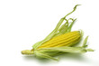 corn cob i