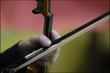 violon