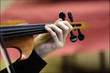 violon