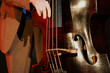 kontrabass kontrabass