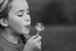 puste die pusteblume