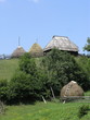 vilage