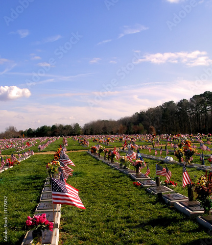Photo: veterans' cemetary veterans' cemetary