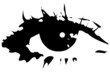 the eye