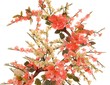 jade cherry blossom 10