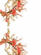 jade cherry blossom 11