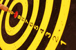 bull's eye