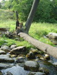 the tree which has fallen from the elements.
