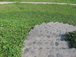 steps spiral down