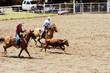 team roping