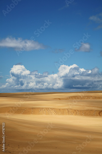 desert footprints desert footprints