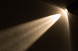 penlight
