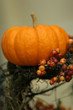 pumpkin display