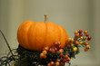 pumpkin display