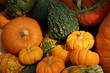 fall harvest