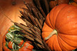 fall harvest