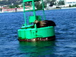 seal on buoy seal on buoy