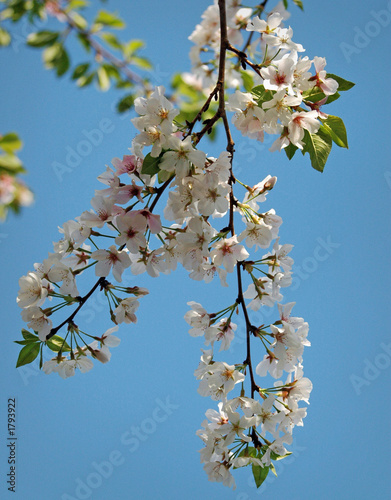 Photo: Georgia Bloom Georgia Bloom