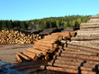 lumber lumber