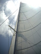 voile voile