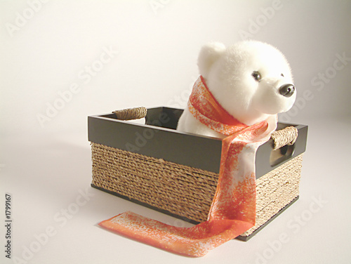 polar travelling