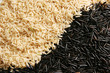 Foto: rice. rice.
