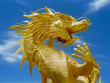 golden dragon golden dragon