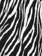 zebra - animal fur zebra - animal fur