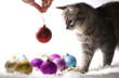 kitten playing with christmas ornaments