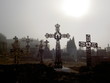 brume au cimetiére