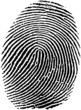 fingerprint17