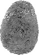 fingerprint18