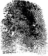 fingerprint19