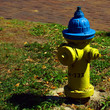 yellow and blue fire hydrant yellow and blue fire hydrant