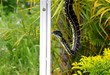 friendly python 2.