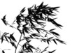 bamboo tree in the wind