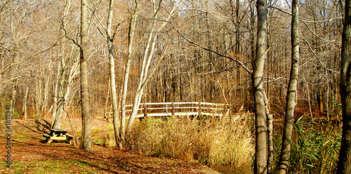 Photo: bridge bridge