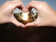 the heart