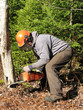 forestry4